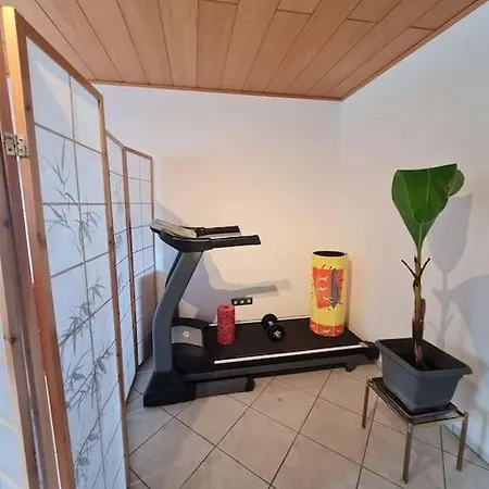 Daire 4-zimmer In Mannheim